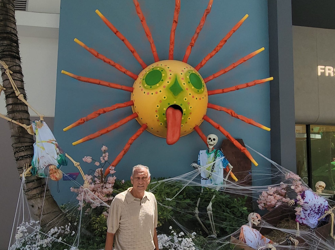 J Star Tours-Manati必去景点