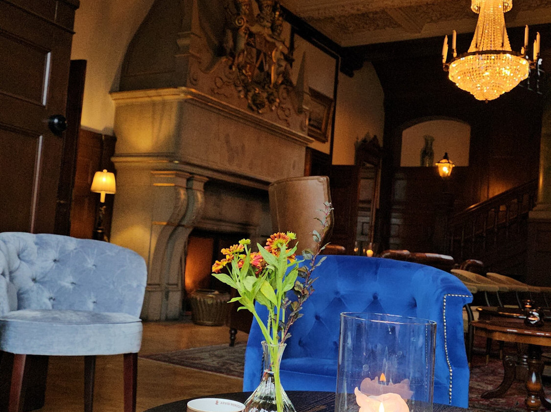 Lejondals Slott主图