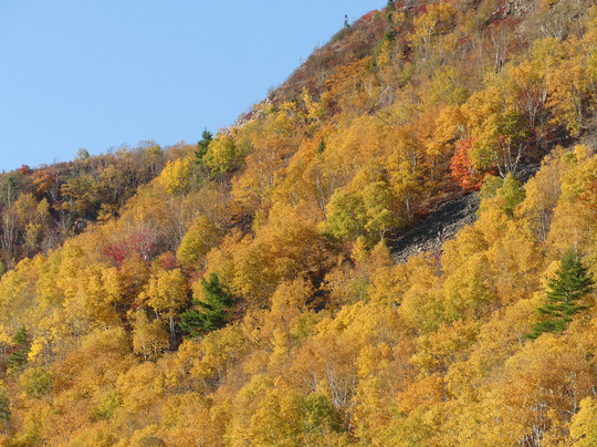 Cabot Discovery Tours-Baddeck必去景点