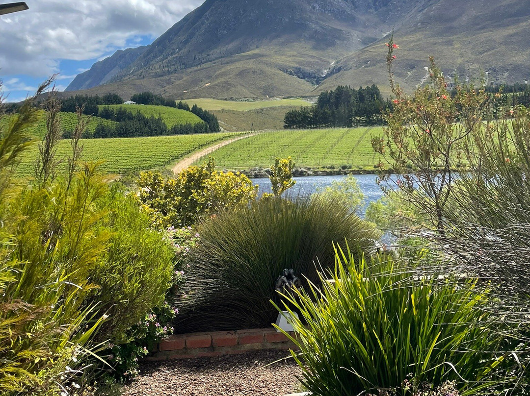 Creation-赫曼努斯必去景点