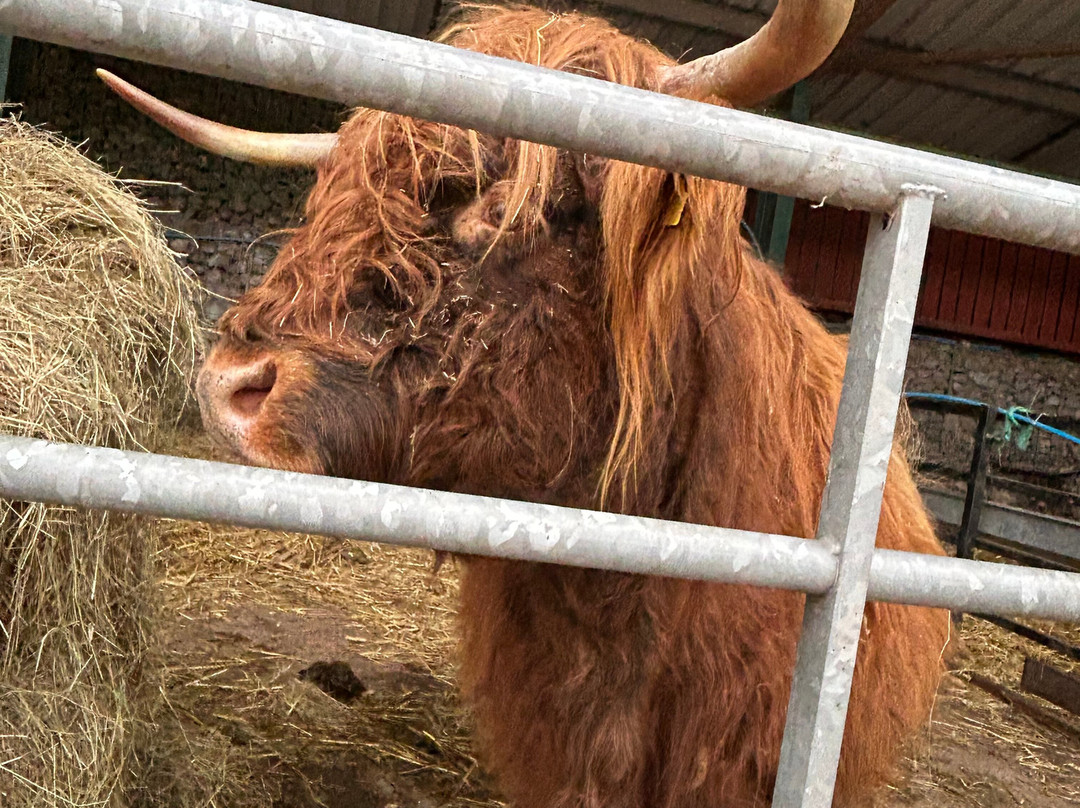Greenmeadow Community Farm-Cwmbran必去景点