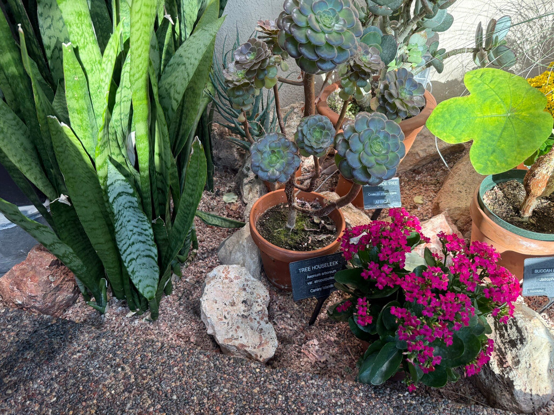 姆塔特温室-埃德蒙顿必去景点