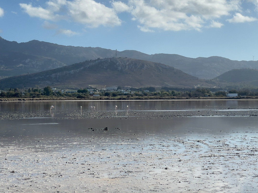 Alikes Salt Lakes Tigaki-Tigaki必去景点