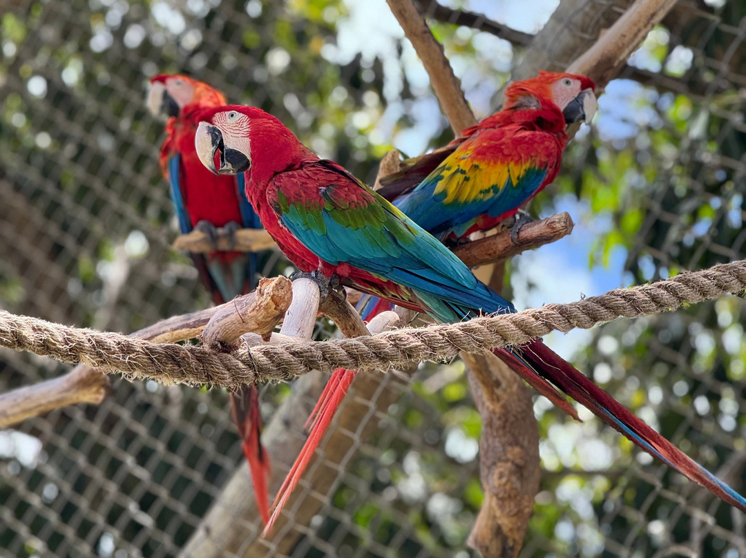 Parque Arvorar-Aquiraz必去景点