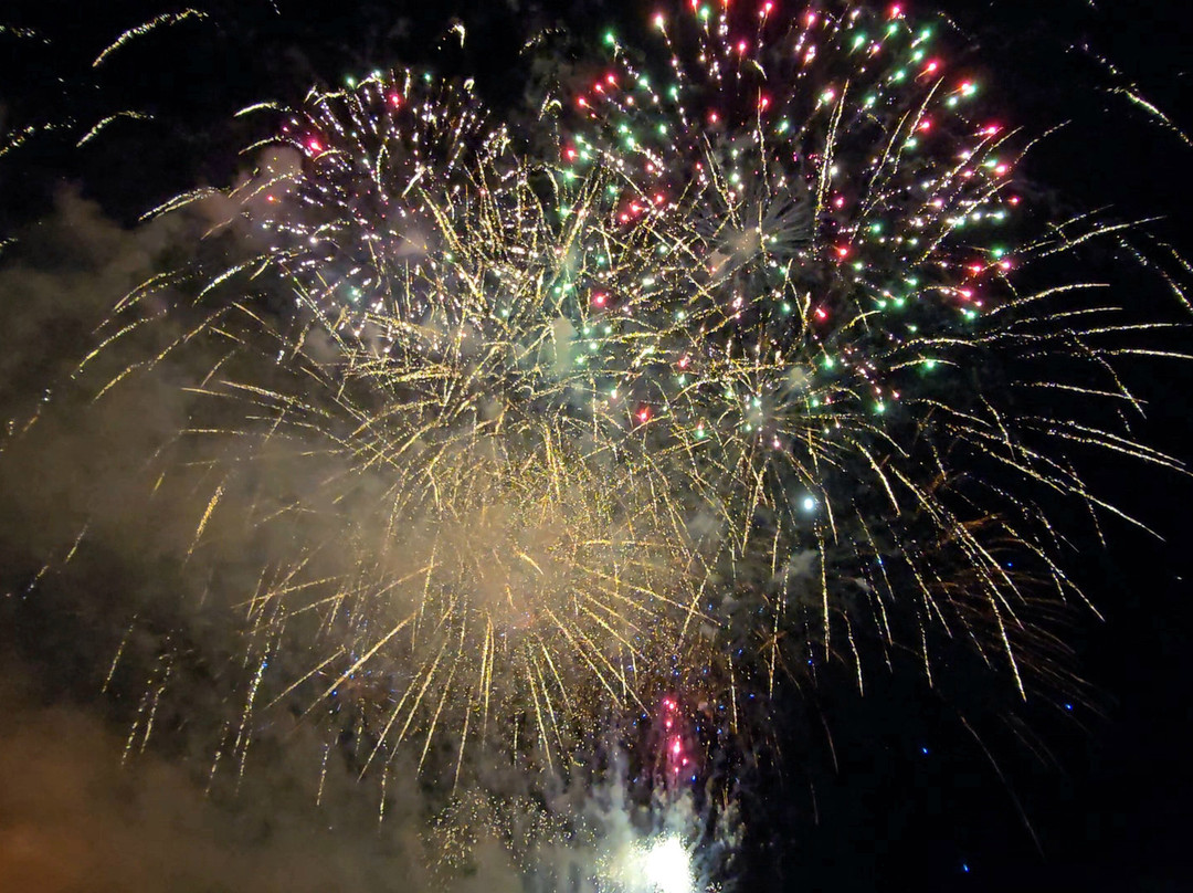 Apley Farm Shop-Norton必去景点