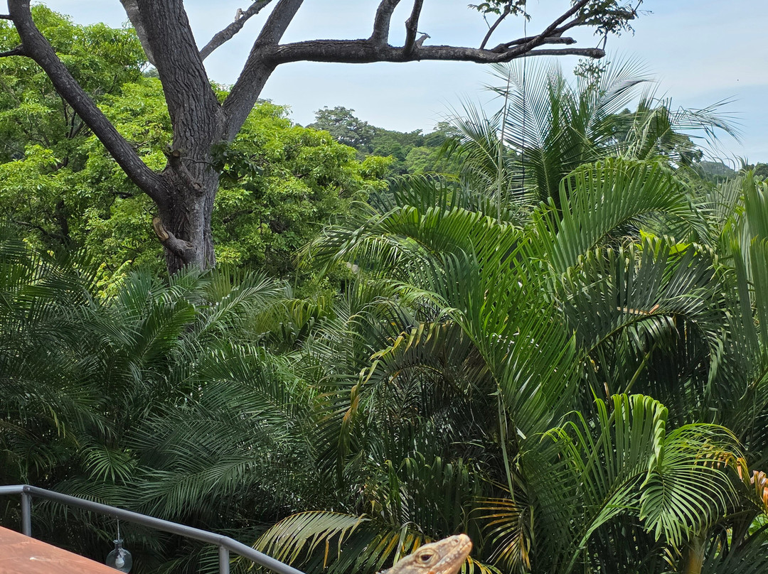 C. R. Referrals Travel-Atenas必去景点