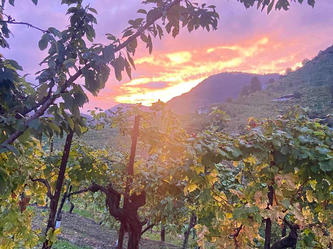 Oriana Noleggio con Conducente-Farra di Soligo必去景点