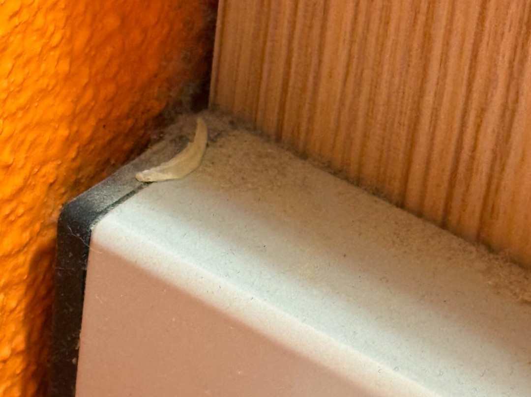 博伊斯城镇普瑞米尔经典酒店主图