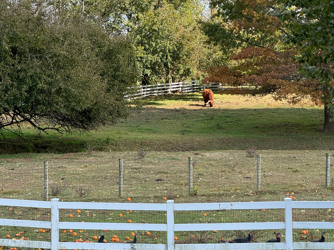 The Amish Farm And House-兰卡斯特必去景点