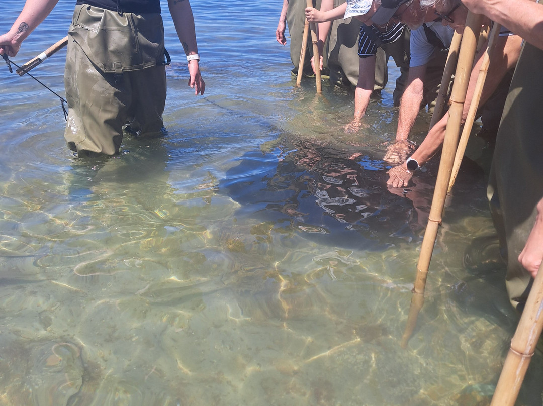 Dive Tatapouri-Gisborne Region必去景点