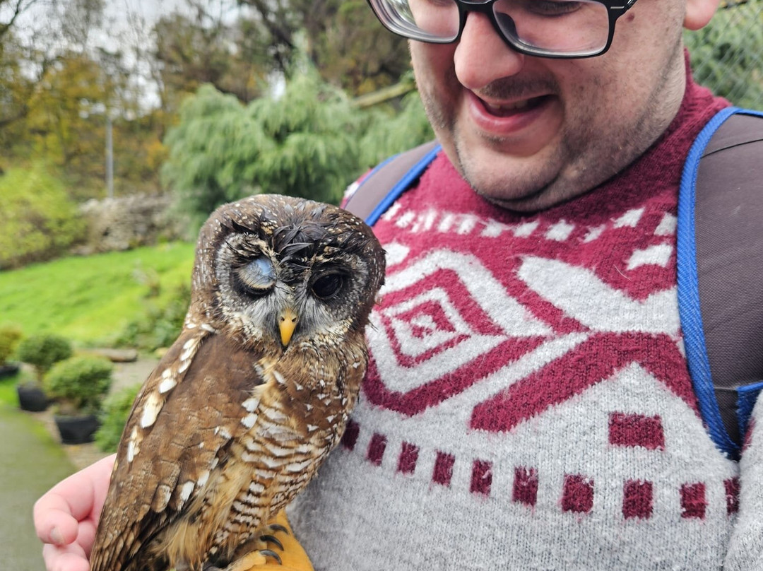 The Owls Trust-兰迪德诺必去景点