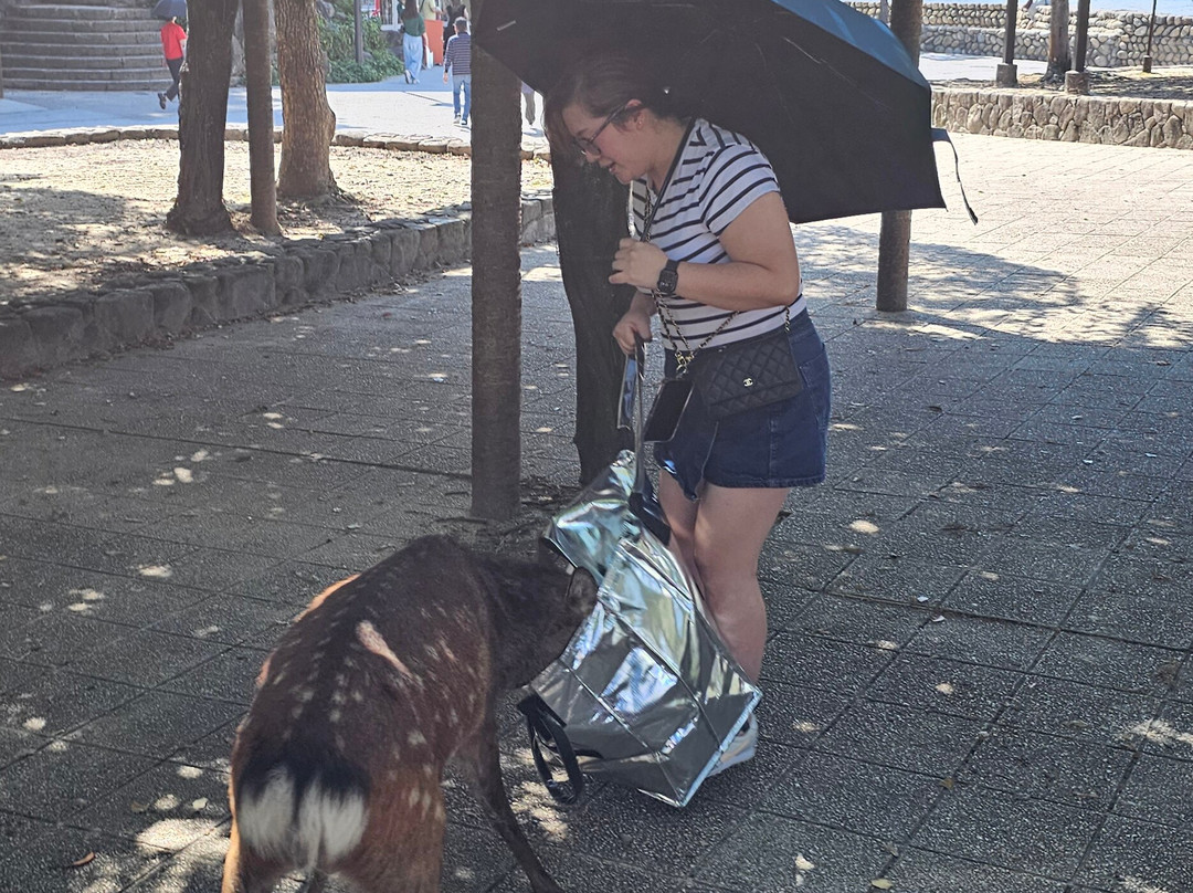 Miyajima Sambashimae Park-Itsukushima必去景点