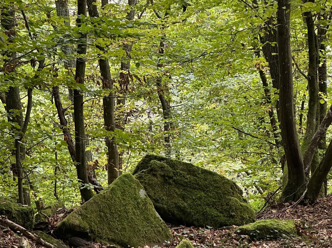 Magische Heimbach - Wanderung