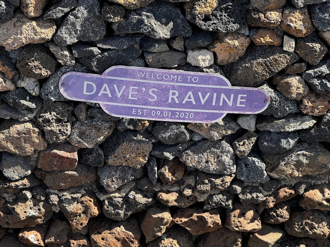 Dave's Ravine