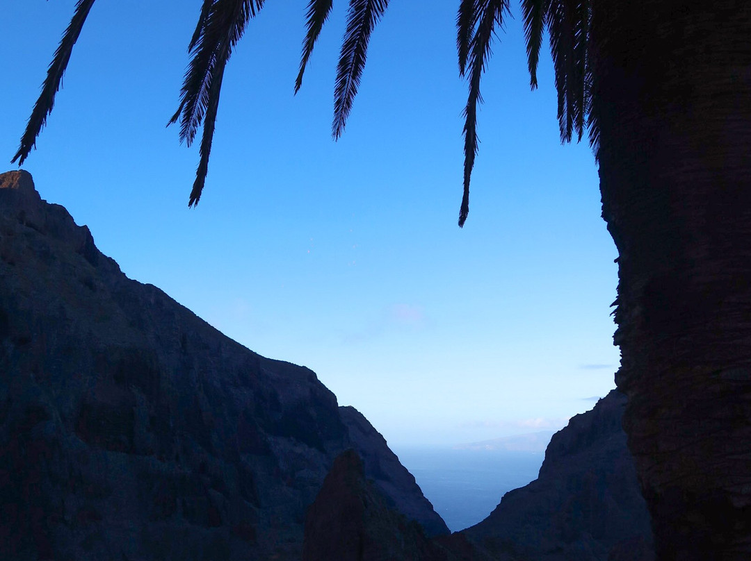 Adventures Tenerife-La Esperanza必去景点