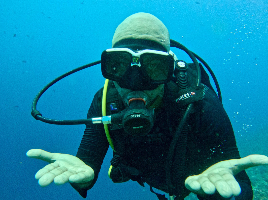 Dive Point Jeddah-吉达必去景点