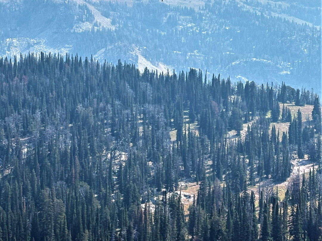 Dry Ridge Outfitters-德里格斯必去景点