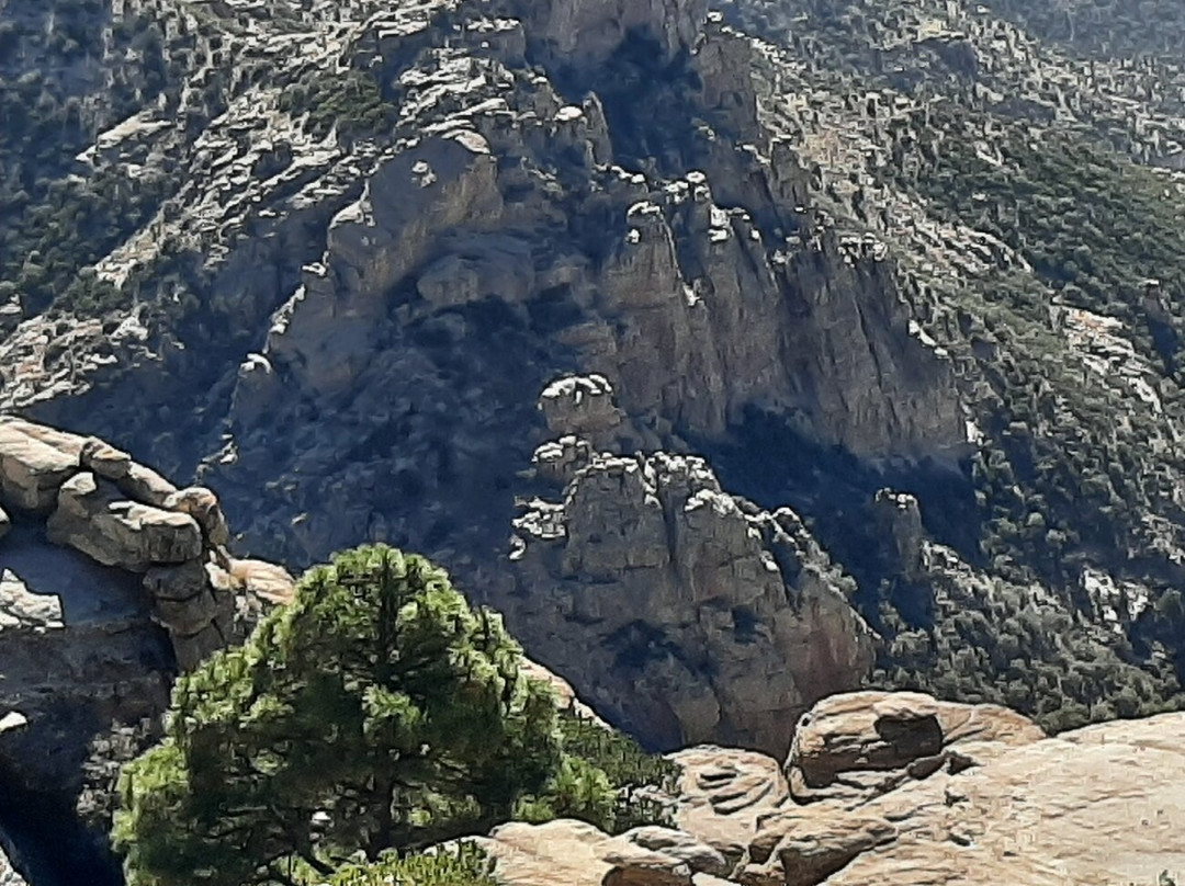Mt. Lemmon Scenic Byway-图森必去景点