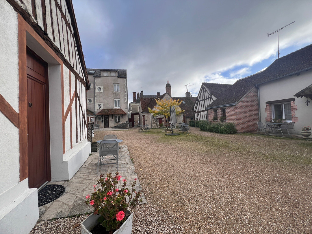 Logis Hôtel du Cygne主图