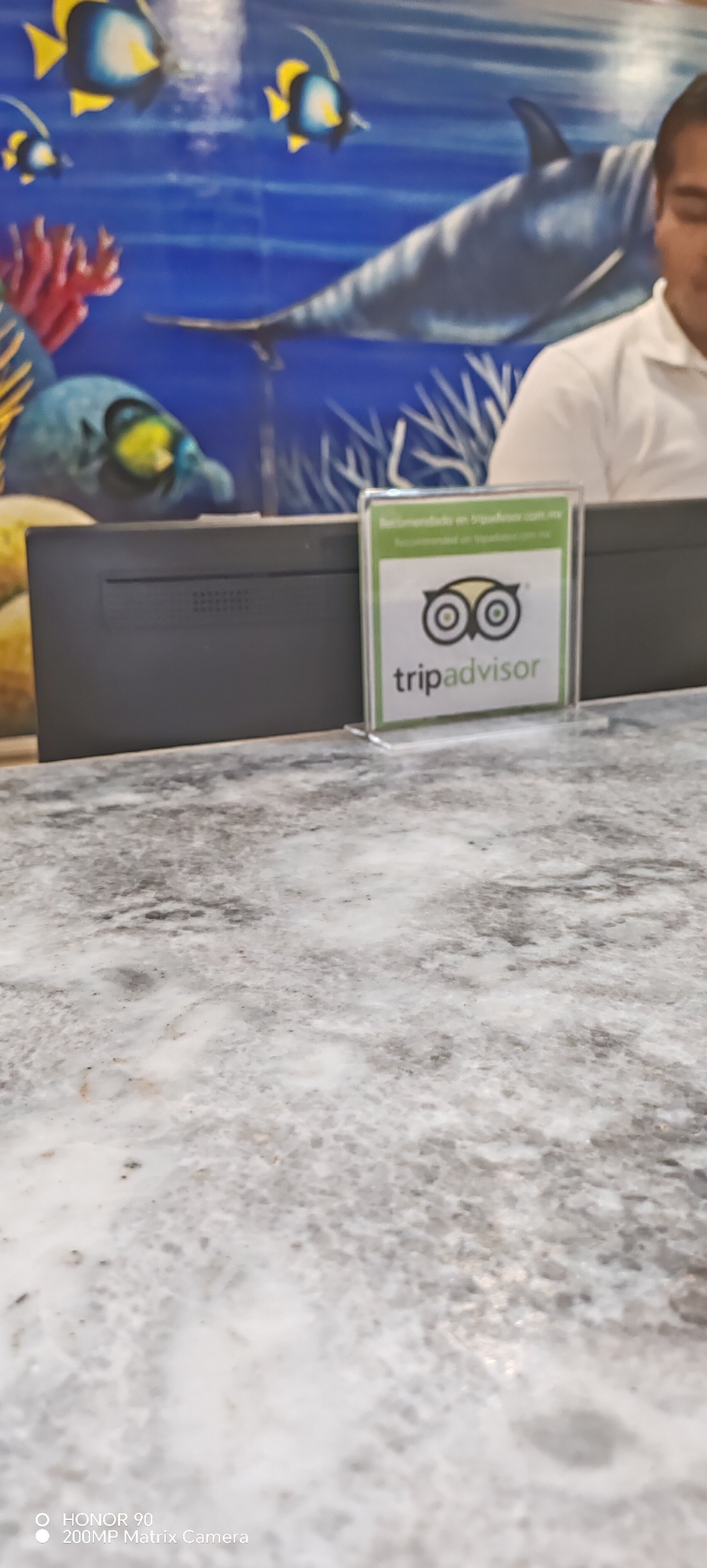 Hotel Veracruz Centro Historico-官方