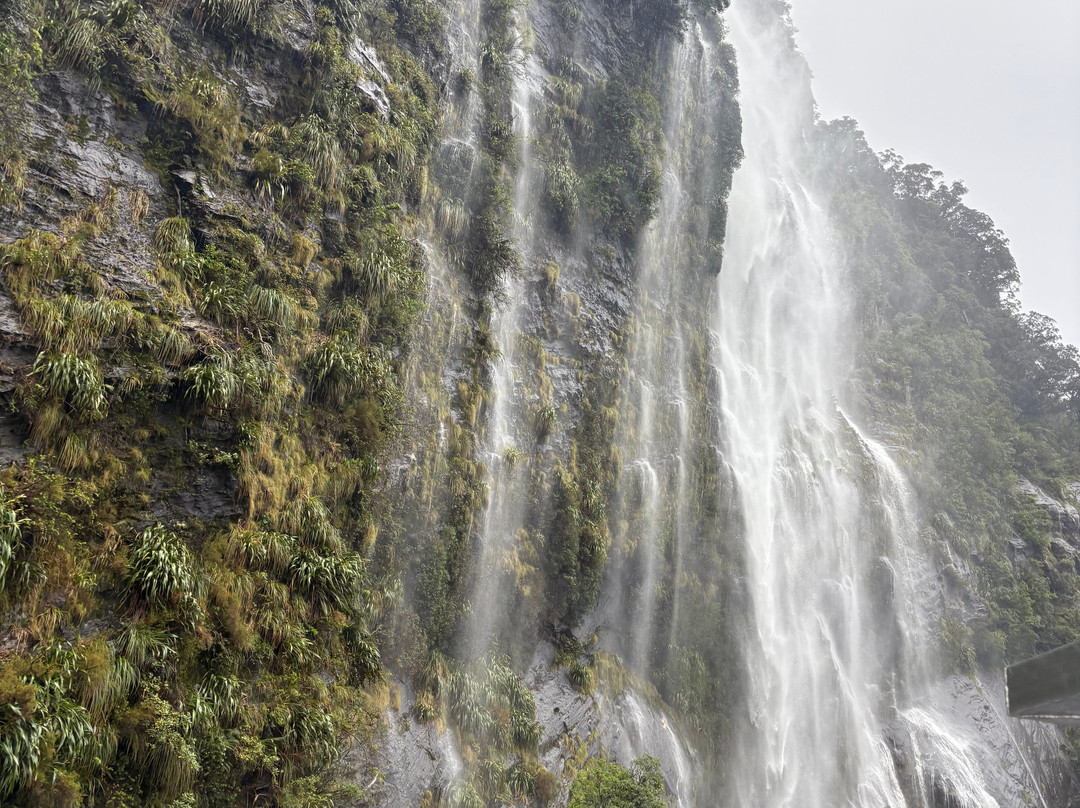 Fiordland Expeditions - Doubtful Sound Overnight Cruises & Multi Day Charters-马纳普里必去景点