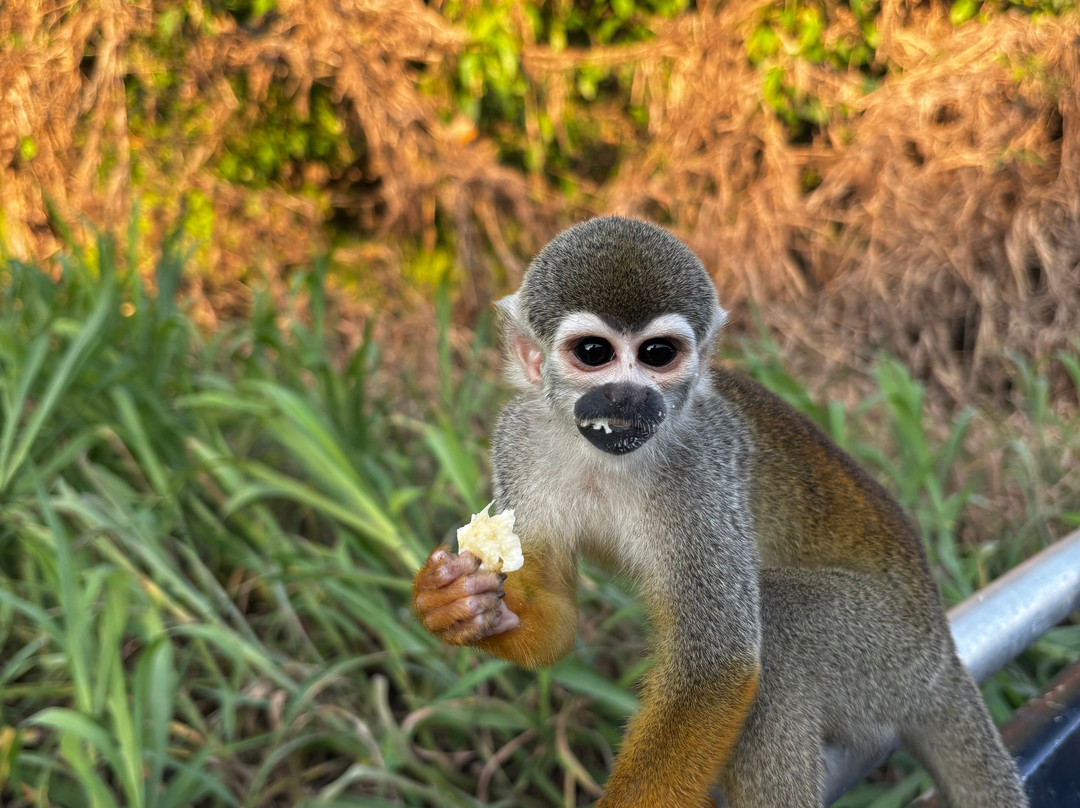 Eco Adventures Travel-大坎普市必去景点