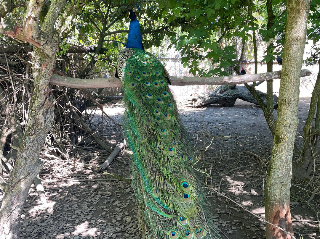 Bioparc Genève Pierre Challandes-Bellevue必去景点