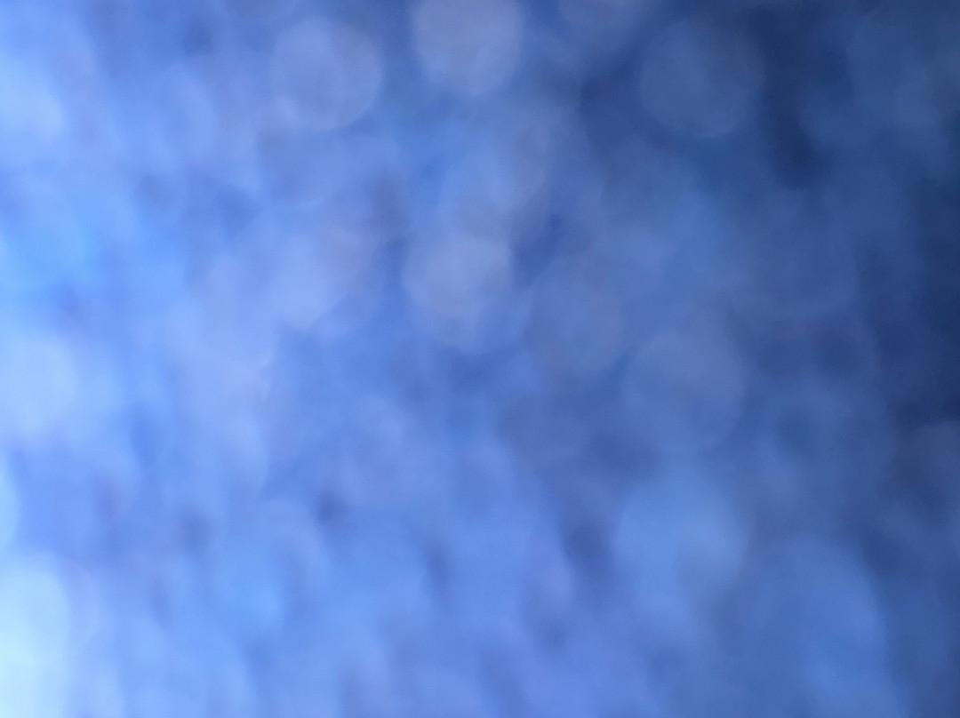 Vesterbrunn Brasseri & Bar