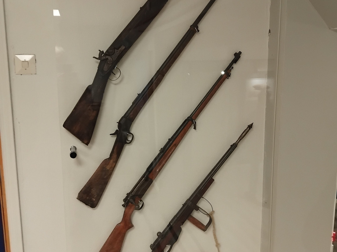 The Polar Bear Society-Hammerfest必去景点