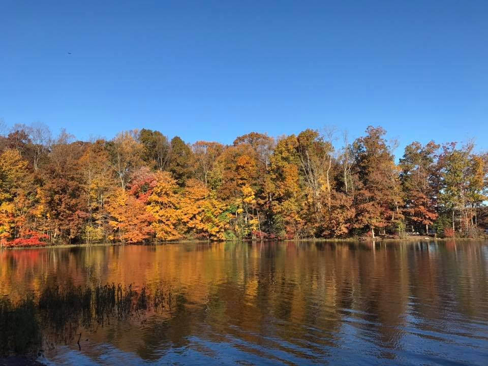 Burke Lake Park-Fairfax Station必去景点