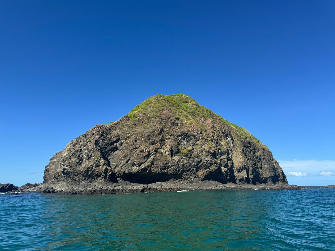 Marea Alta Ocean Adventures-Playas del Coco必去景点