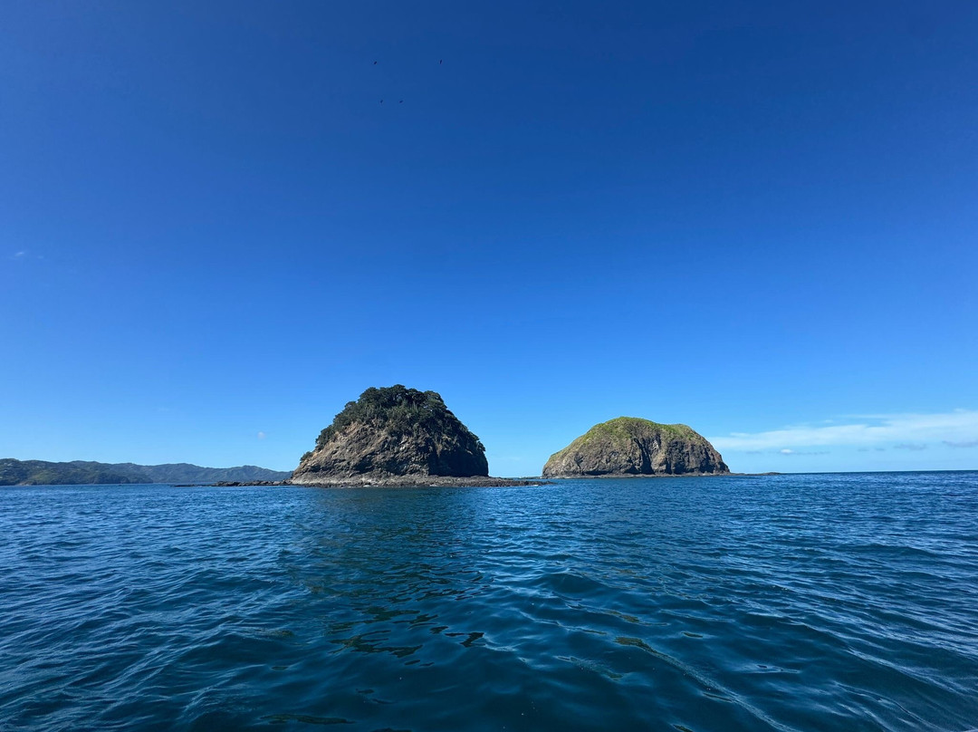 Marea Alta Ocean Adventures-Playas del Coco必去景点