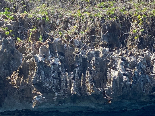 Trovao dos Mares-费尔南多-迪诺罗尼亚群岛必去景点