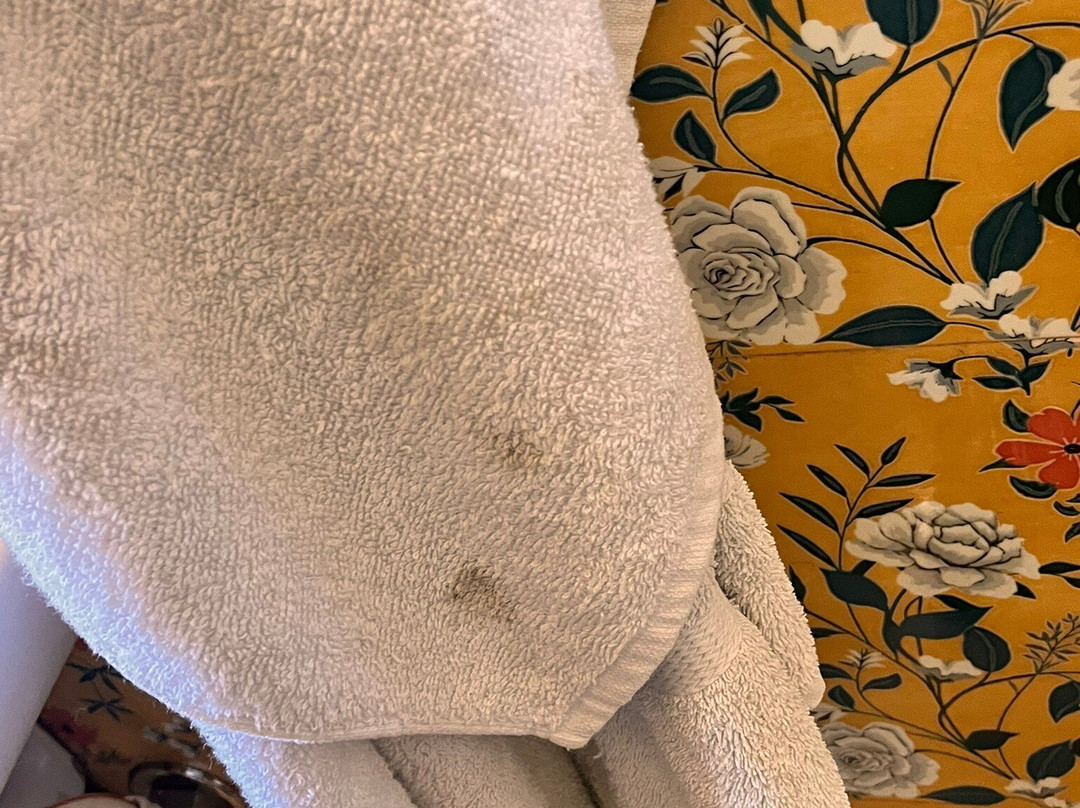 Echor Malusara Lakeview Retreat Bhimtal主图