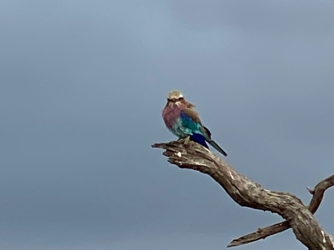 Top Africa Safaris-迪亚尼必去景点