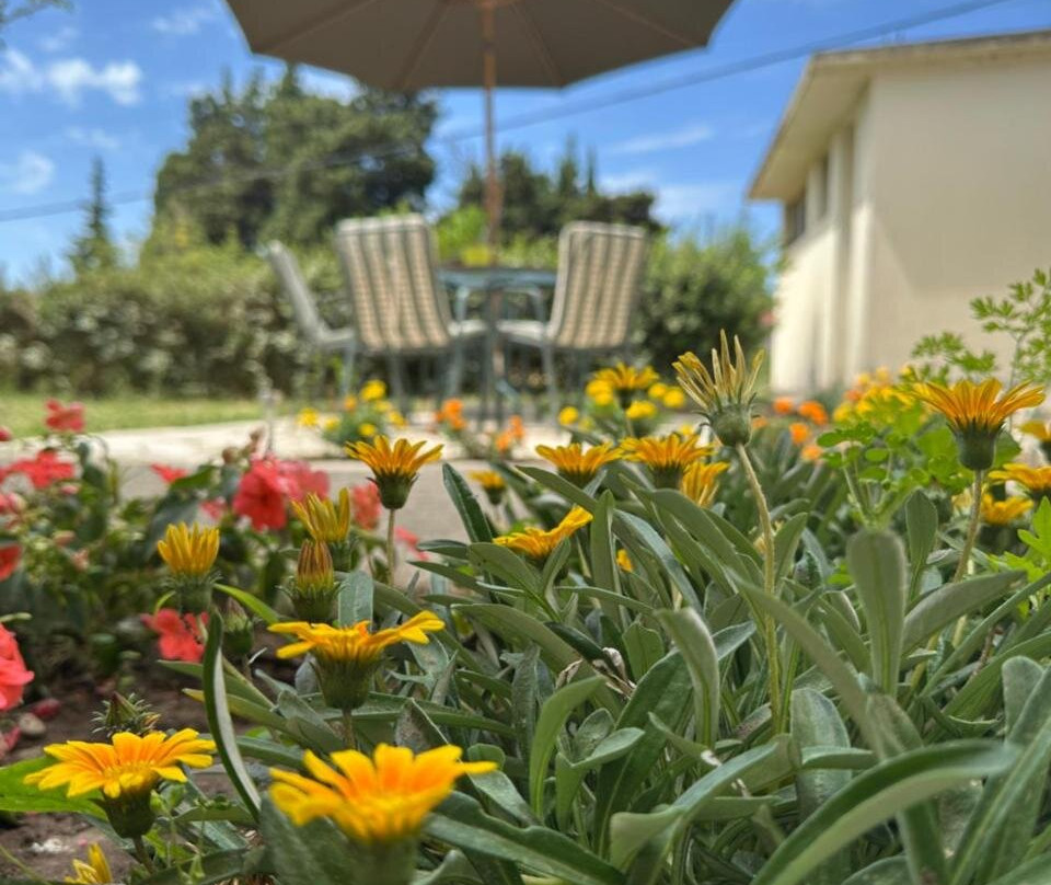 Stari Bar Apartments