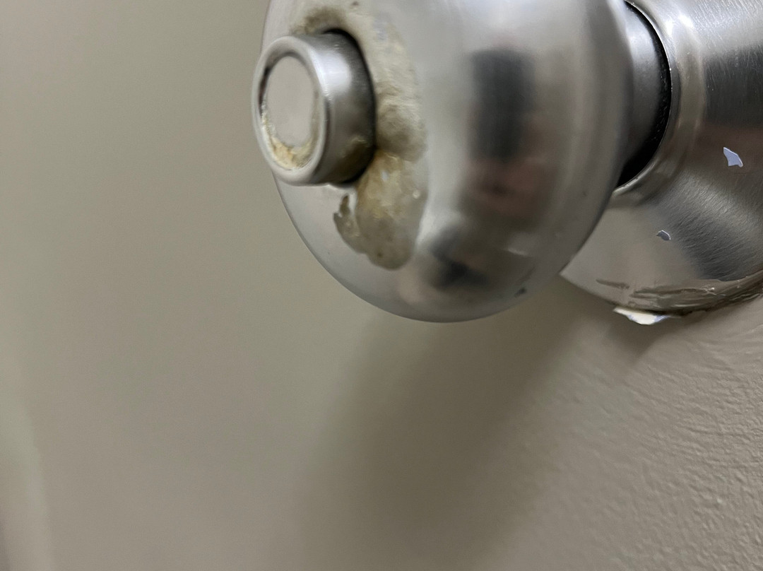 Days Inn by Wyndham Walterboro主图