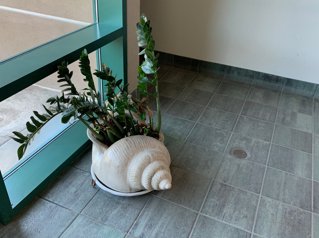 ABQ BioPark Aquarium-阿尔伯克基必去景点