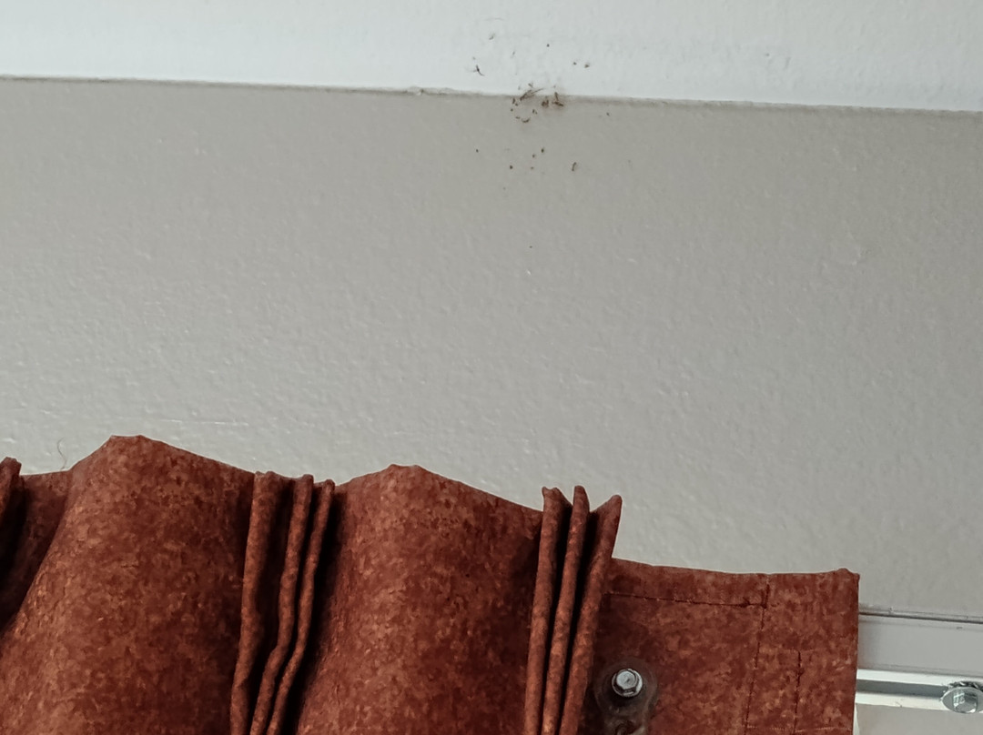 Days Inn by Wyndham Trumann AR主图