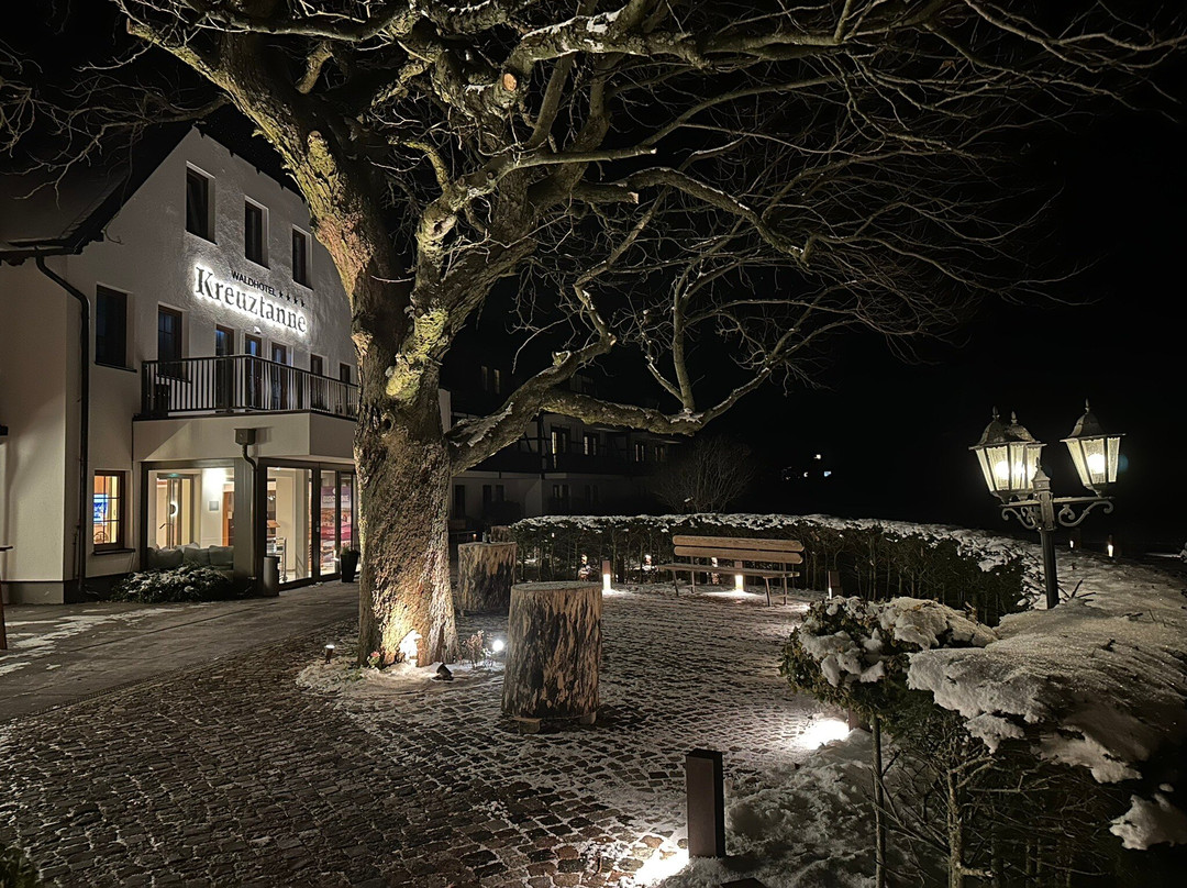 Waldhotel Kreuztanne主图