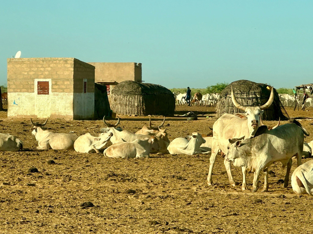 Nouvelles Frontieres-达喀尔必去景点