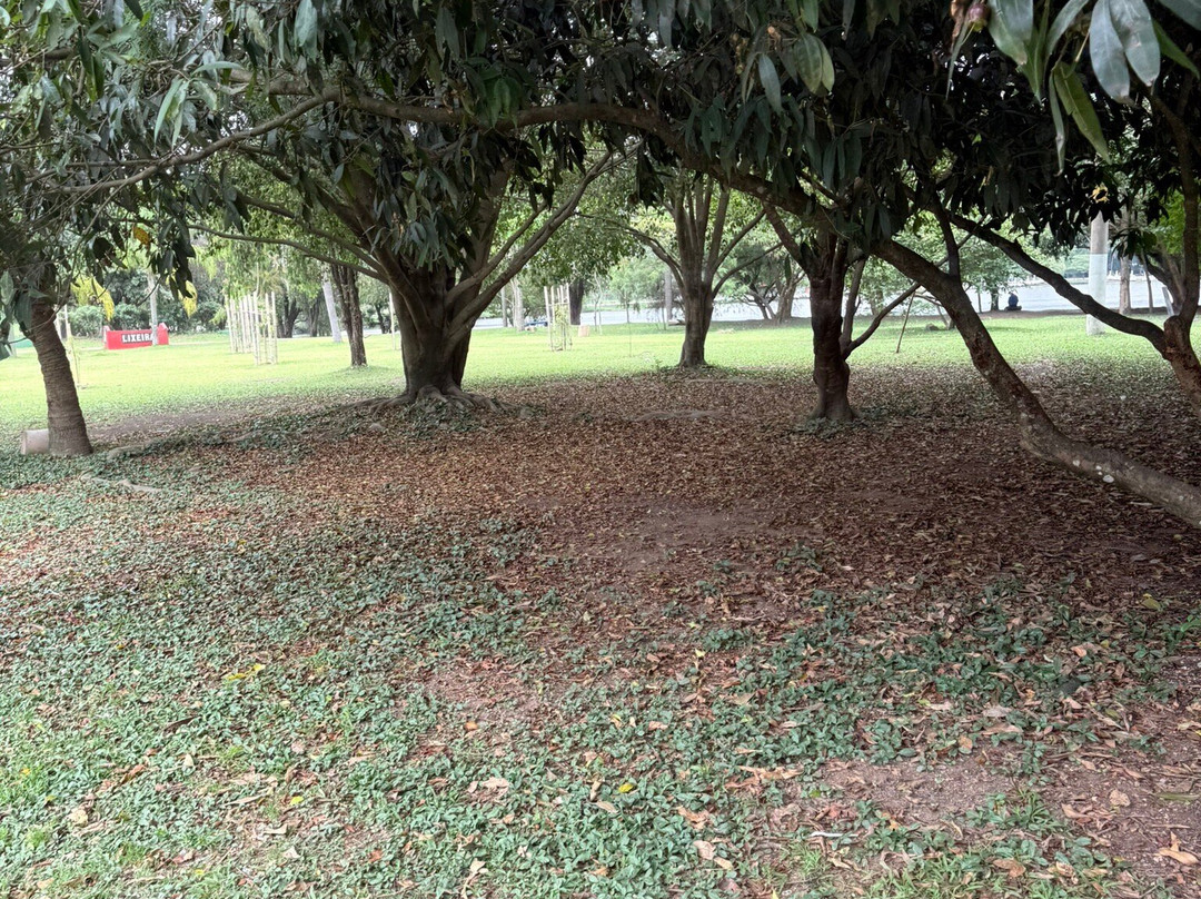 Parque Ecologico do Tiete-圣保罗必去景点