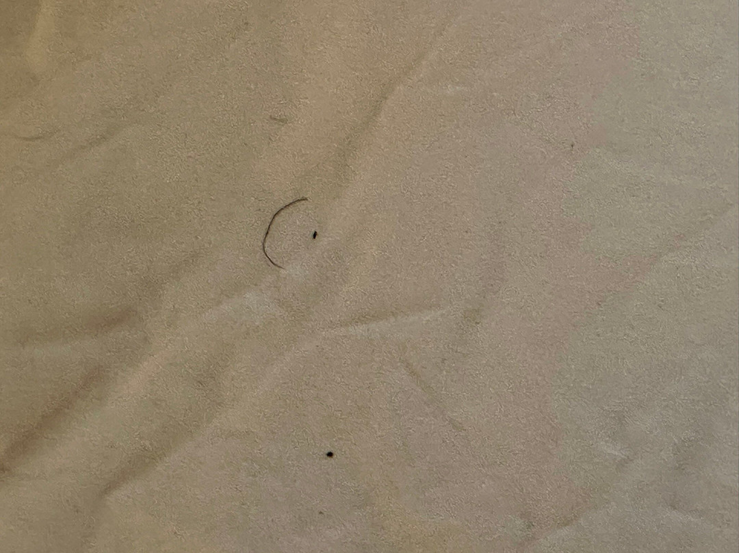 Country Inn & Suites by Radisson, Salisbury, MD主图