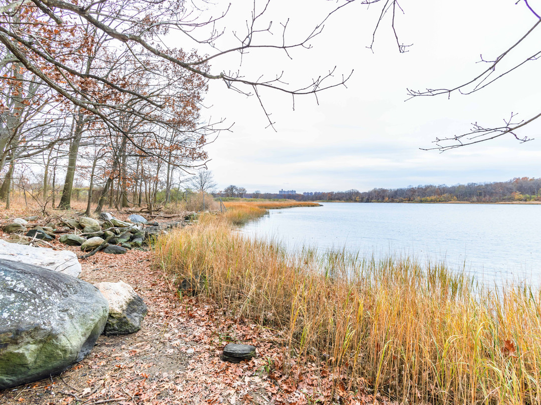 Pelham Bay Park-布朗克斯必去景点