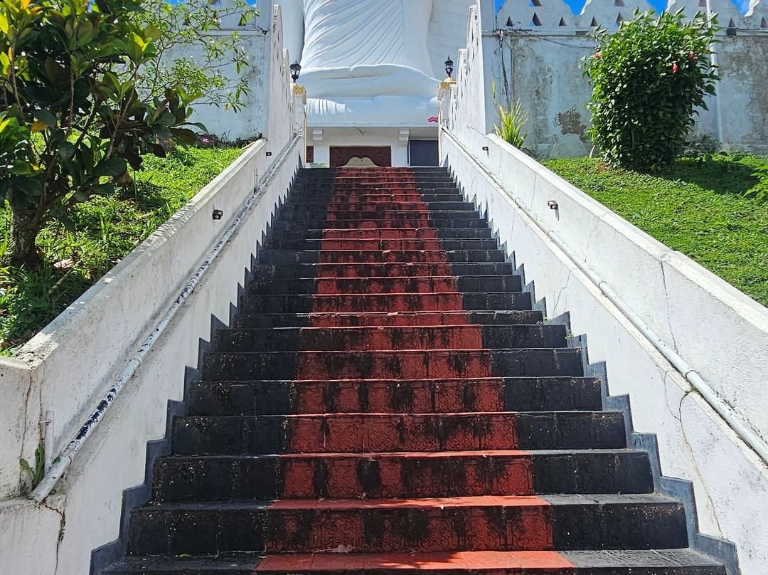 Mahaweli Tours & Holidays-Kandana必去景点