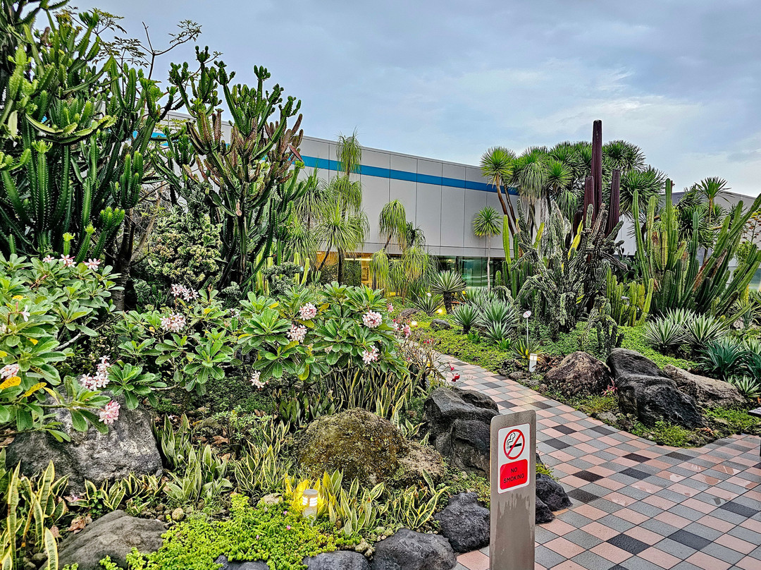 Cactus Garden-新加坡必去景点