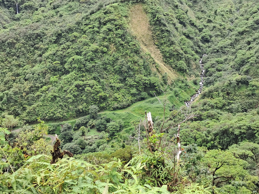 Marama Safari 4x4-法阿必去景点