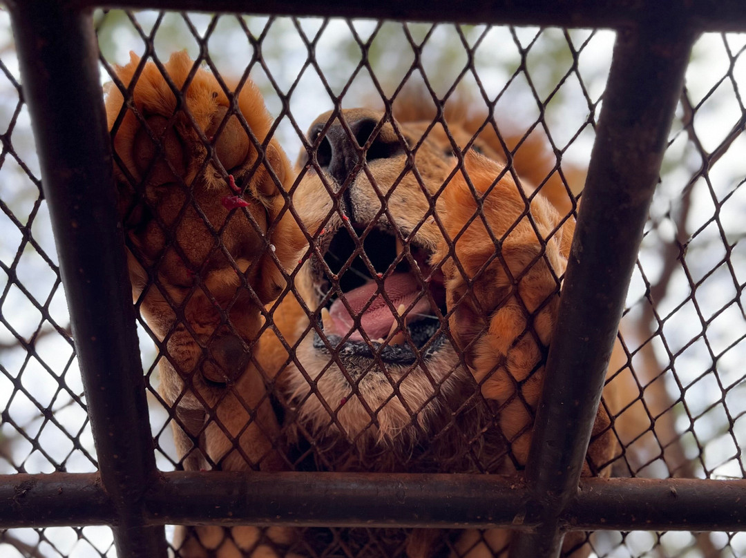 Max Sakho Chauffeur Guide-Saly必去景点