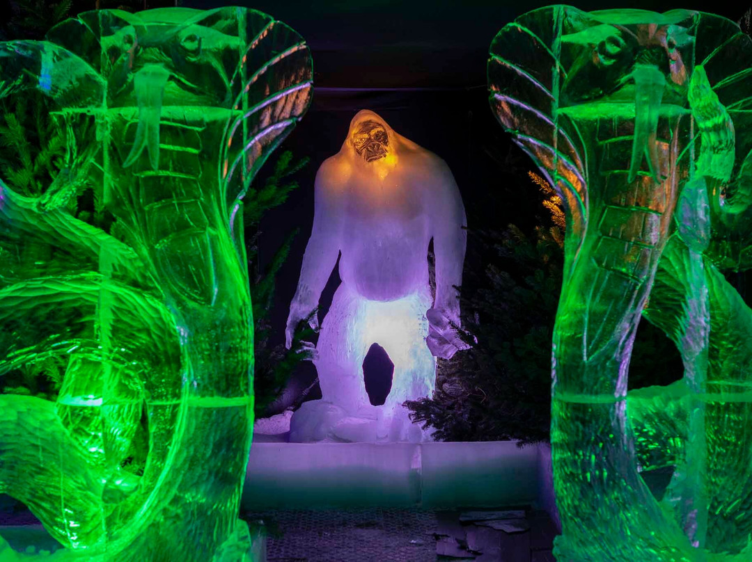 Flevo Nice-Biddinghuizen必去景点