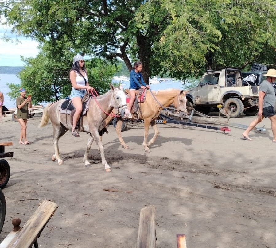 All Exclusive Tours Costa Rica-Playa Panama必去景点